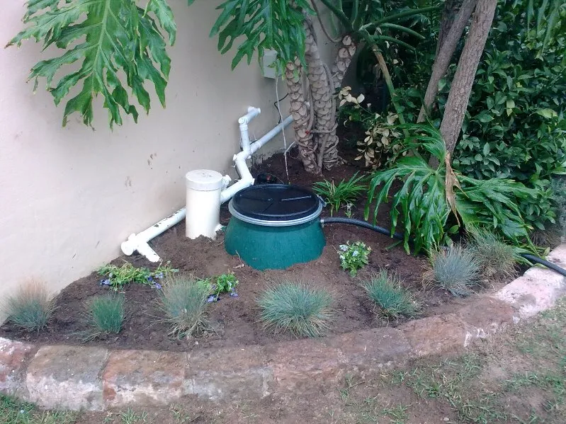 Greywater Basics: Safe vs Harmful