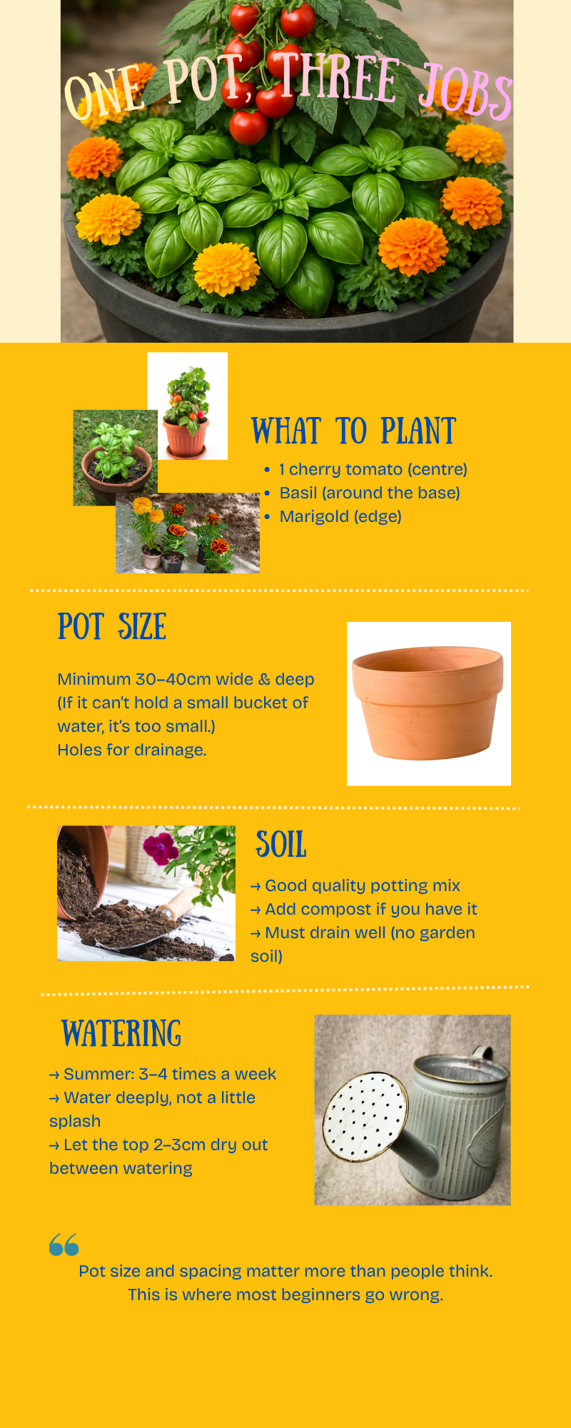 One Pot, Three Jobs